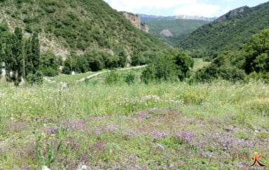 yakasurvie stage famille barre des dourbes