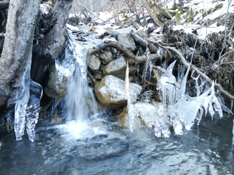 decouverte yakasurvie cascade glace