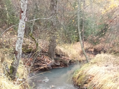 yakasurvie decouverte eau