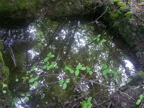 paysage decouverte yakasurvie