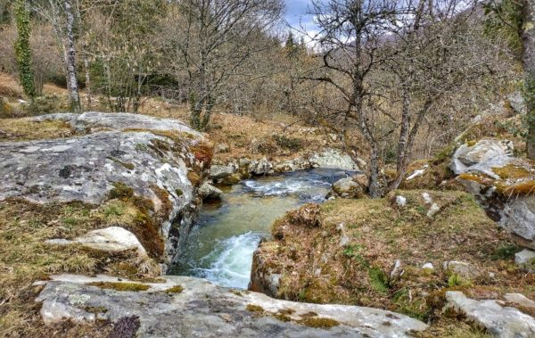 stage famille nature survie provence 2019