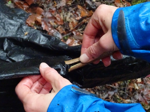 fondation yakasurvie pince à linge