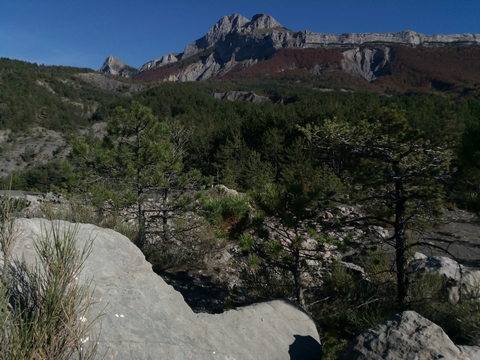 fondation paysage yakasurvie provence