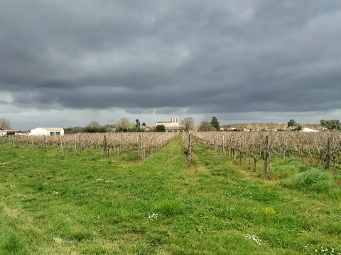 paysage raid yakasurvie nils 2019