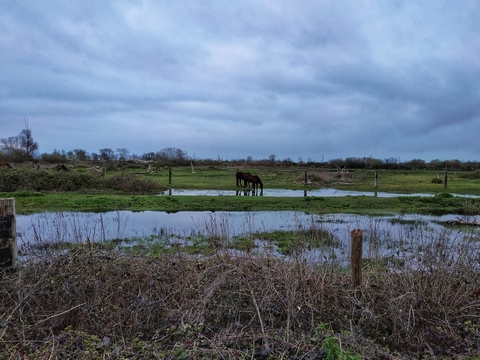 paysage raid yakasurvie nils 2019