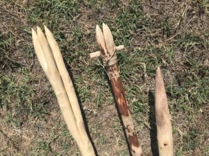 Pointes harpons, pieu en bois - Yaka Survie -