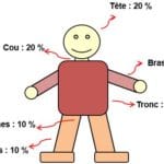 Phénomènes perturbateurs & température corporelle